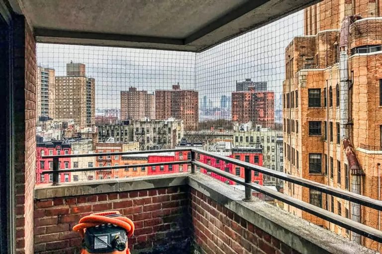 How To Keep Birds Out Of Balcony: Smart Tips To Protect Your Outdoor Space